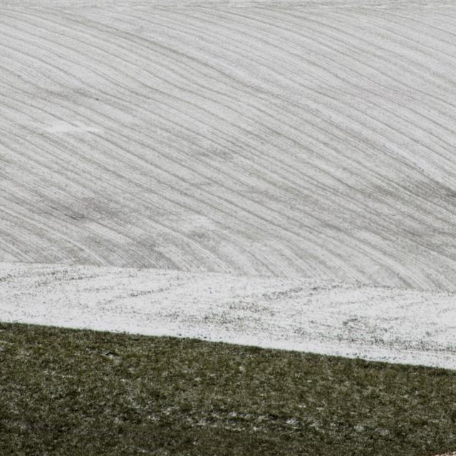 A snowfall (23)